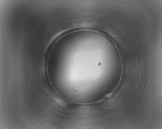 X0000069811214200605261740