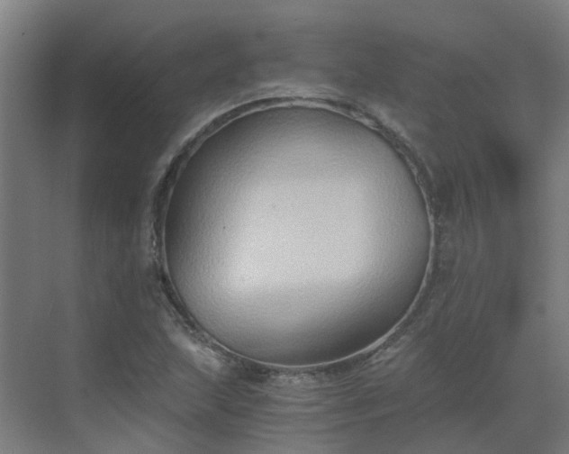 X0000069811215200605261740