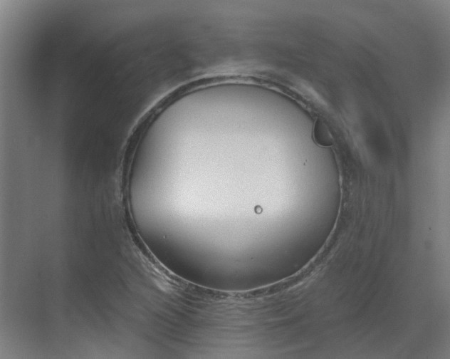 X0000069811216200605261740