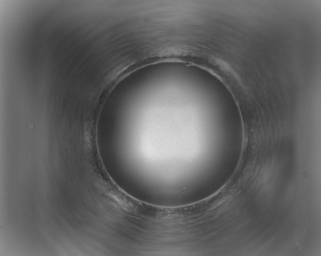 X0000069811217200605261740