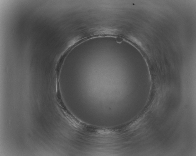 X0000069811219200605261740