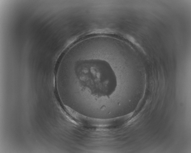 X0000069811221200605261740