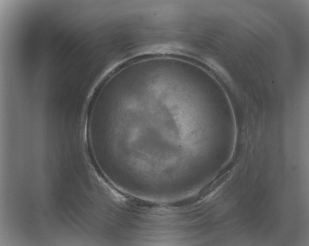 X0000069811224200605261740