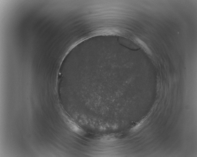 X0000069811226200605261740