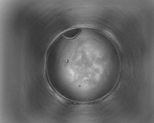 X0000069811228200605261740