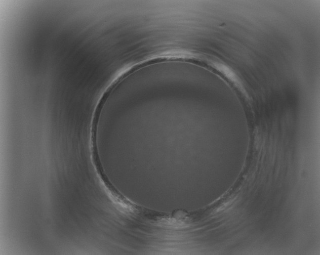 X0000069811229200605261740