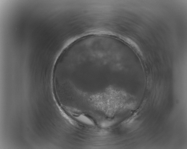 X0000069811231200605261740