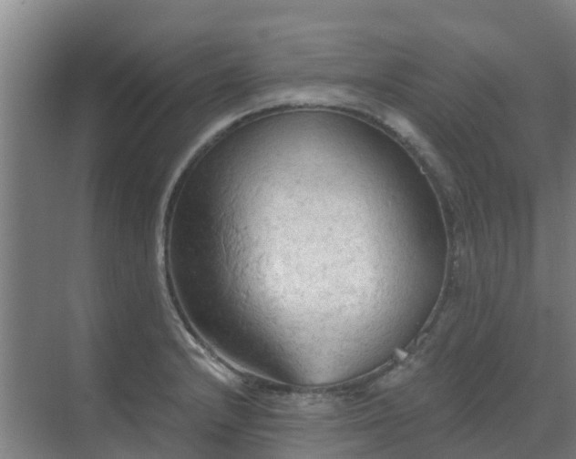 X0000069811232200605261740