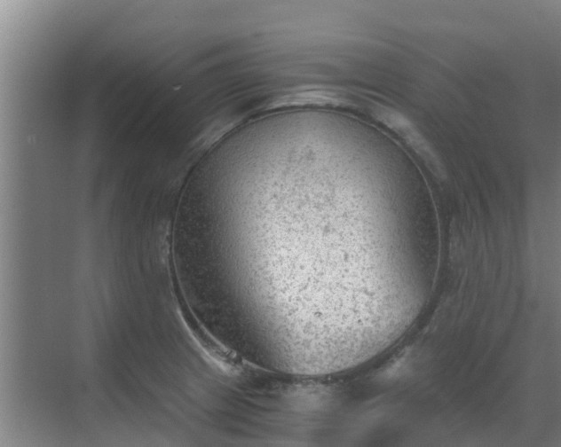 X0000069811233200605261740