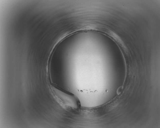 X0000069811234200605261740