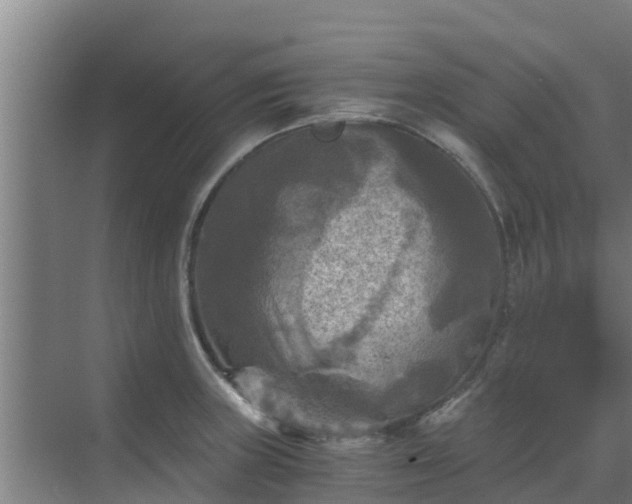 X0000069811235200605261740