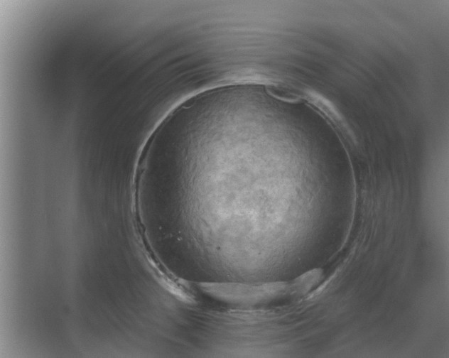 X0000069811236200605261740