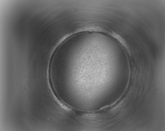 X0000069811237200605261740