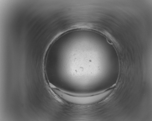 X0000069811240200605261740