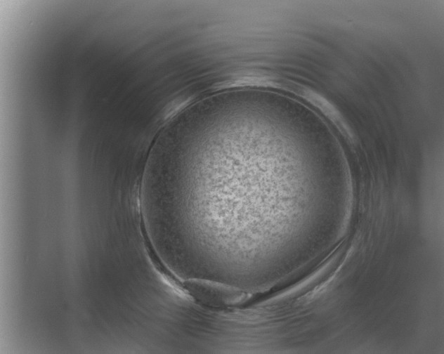 X0000069811241200605261740