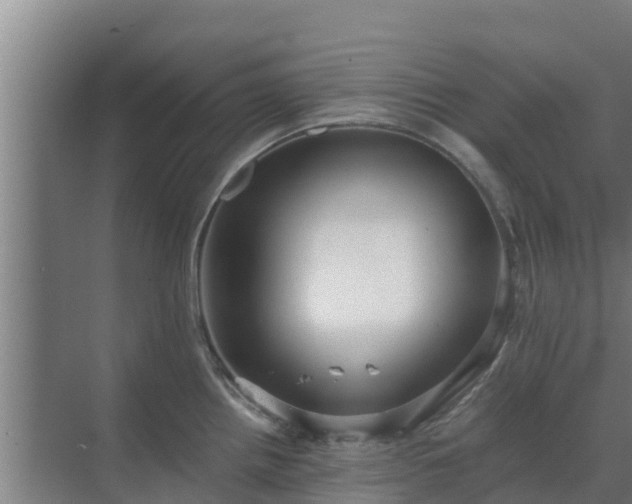 X0000069811242200605261740