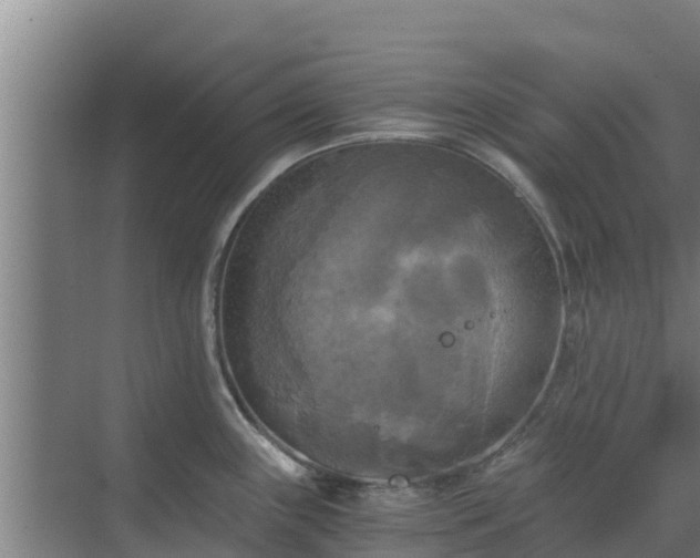 X0000069811243200605261740