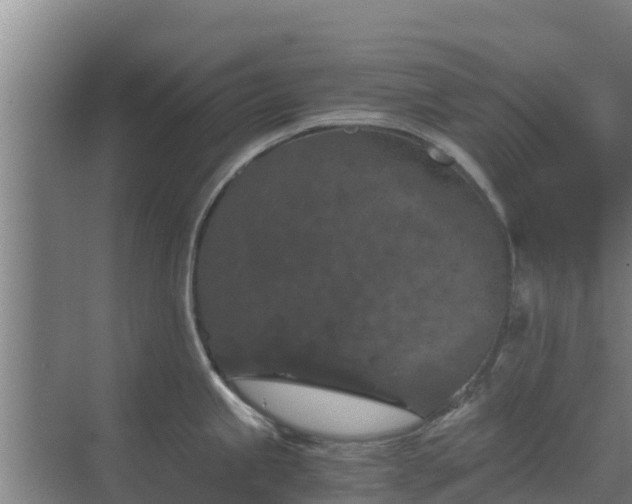 X0000069811245200605261740