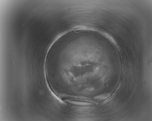 X0000069811247200605261740