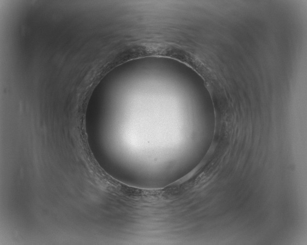 X0000069811249200605261739