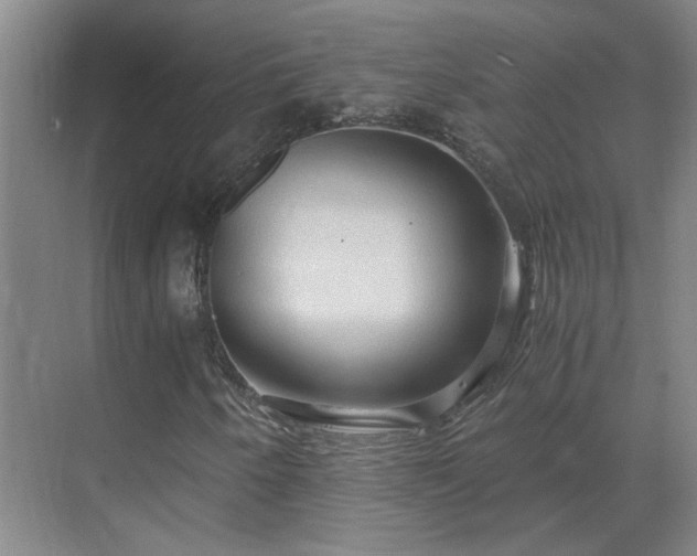 X0000069811250200605261739