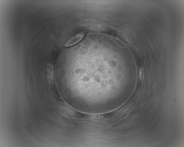 X0000069811251200605261739