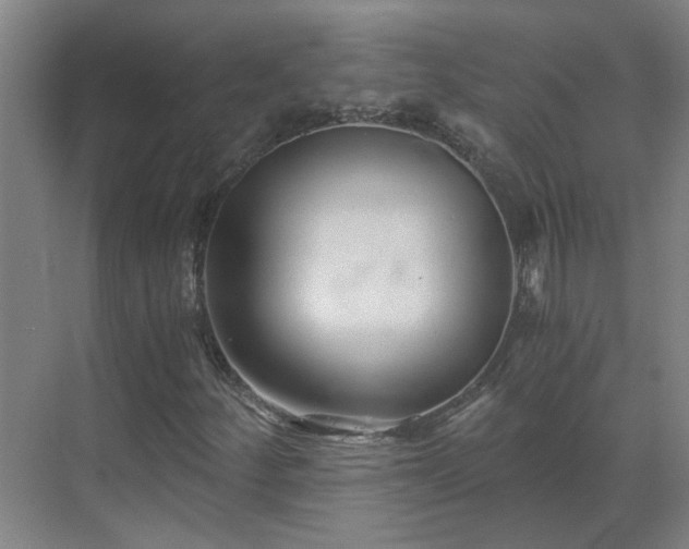 X0000069811252200605261739