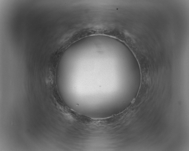 X0000069811253200605261739