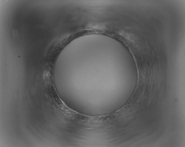 X0000069811254200605261739