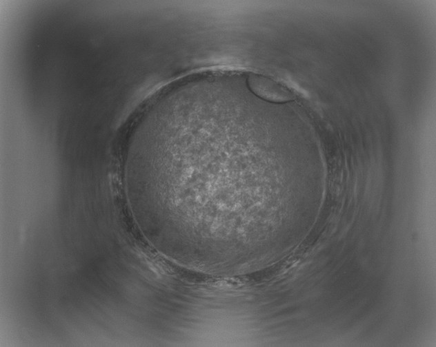 X0000069811255200605261739