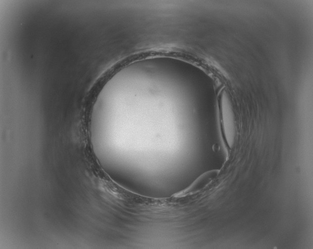 X0000069811256200605261739