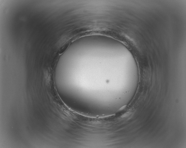 X0000069811257200605261739