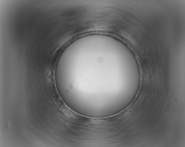 X0000069811258200605261739