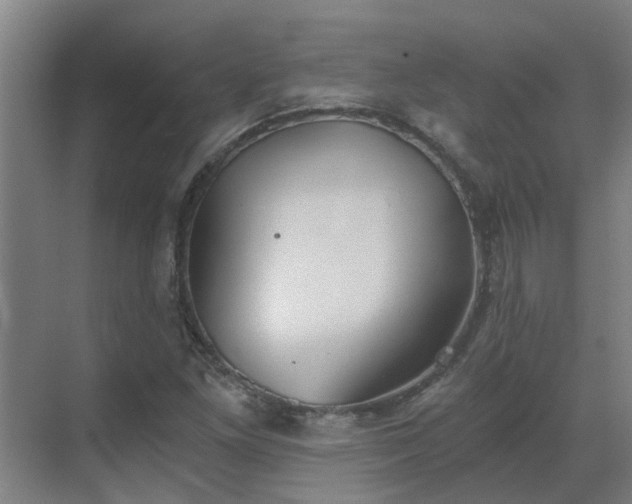 X0000069811261200605261739