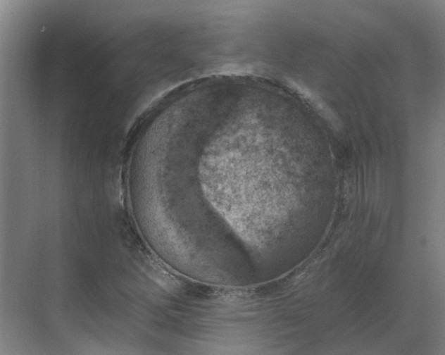 X0000069811262200605261739