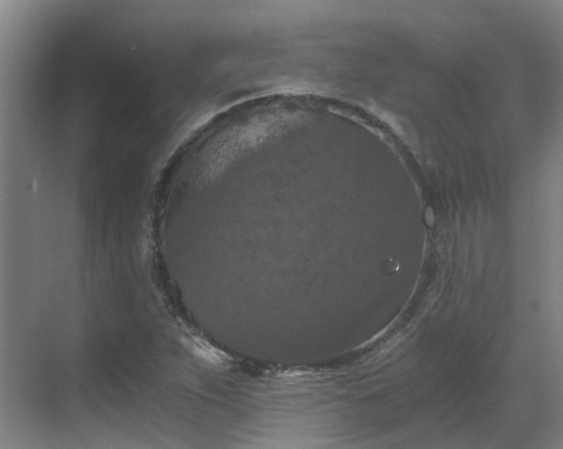 X0000069811263200605261739