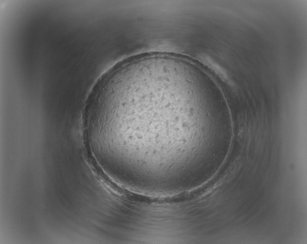 X0000069811264200605261739