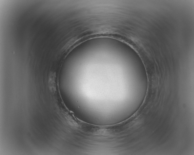 X0000069811265200605261739