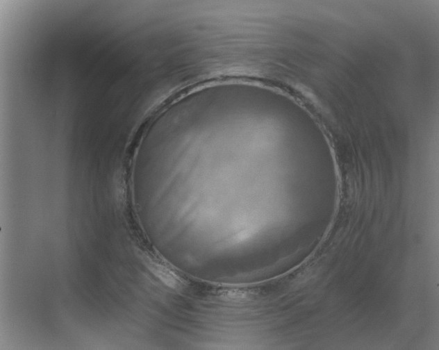 X0000069811266200605261739