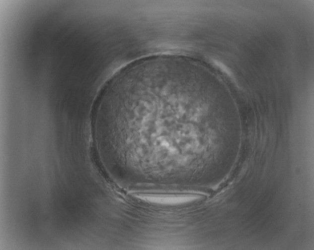 X0000069811267200605261739