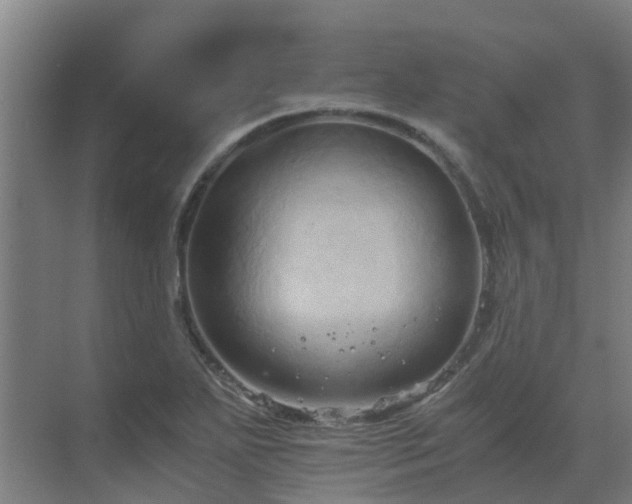 X0000069811271200605261739