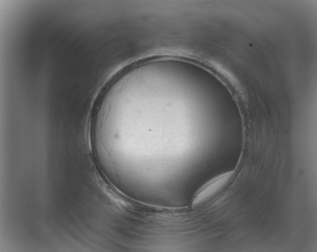 X0000069811272200605261739