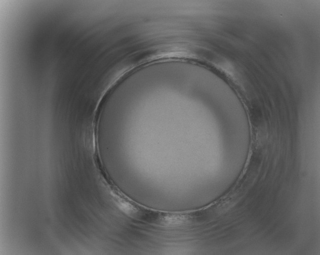 X0000069811274200605261739