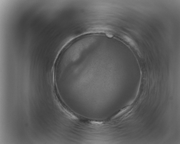 X0000069811275200605261739