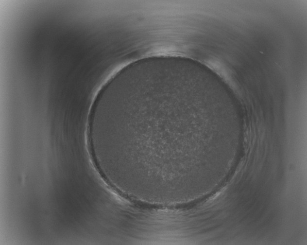 X0000069811277200605261739