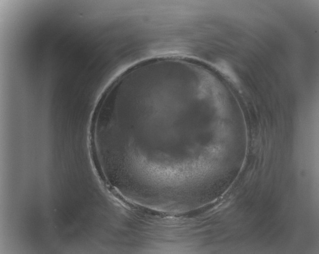 X0000069811279200605261739