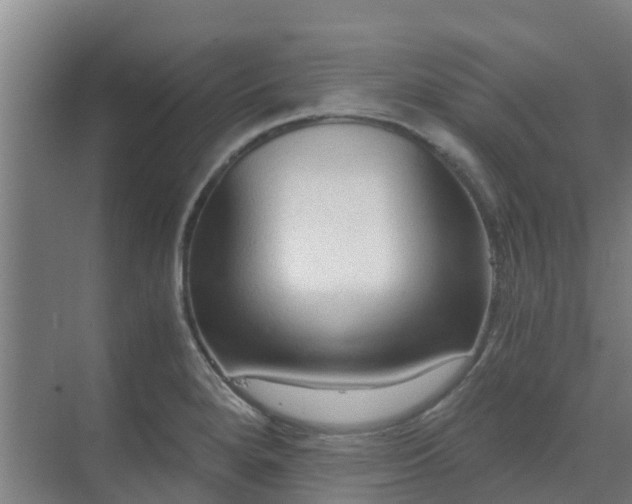 X0000069811280200605261739