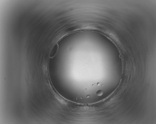 X0000069811281200605261739