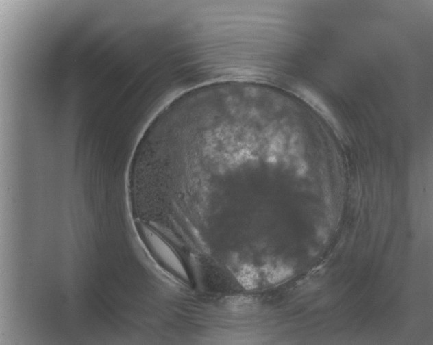 X0000069811283200605261739