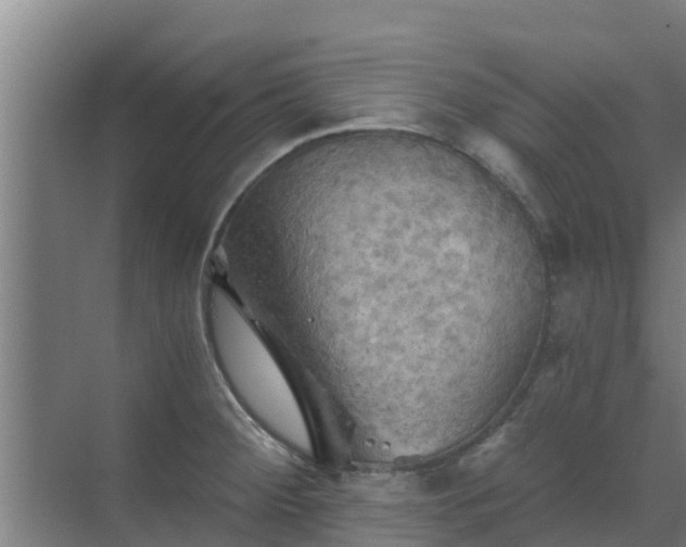 X0000069811284200605261739